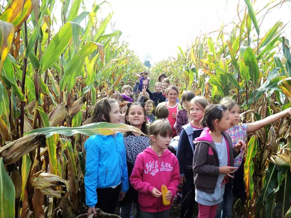 dzieci na polu kukurydzy